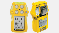 BW Multi-gas Detectors