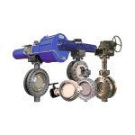 Vanessa Valves